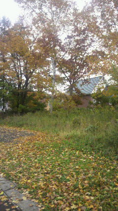 2012102910220000.jpg