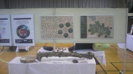 2012110314060002.jpg