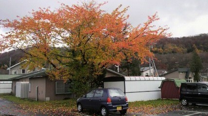 2012110909450000.jpg