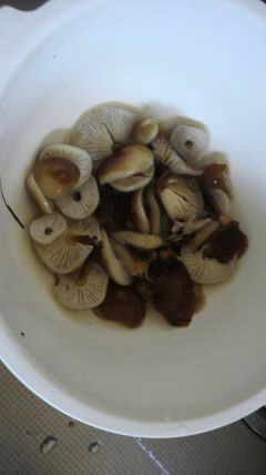2012111307300000.jpg